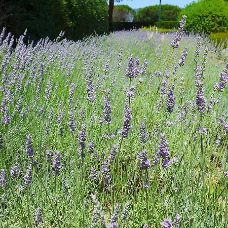 La Graziosa Appartement