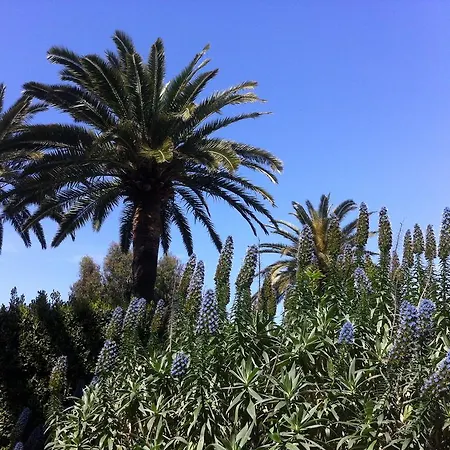 La Graziosa Appartement