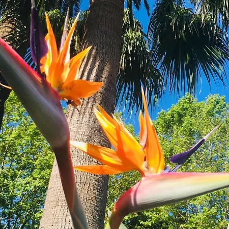 Appartement La Graziosa Saint-Tropez