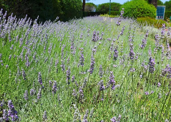 La Graziosa Apartamento