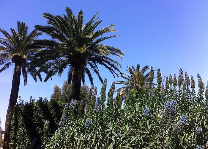 La Graziosa Apartamento