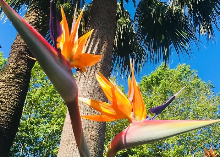 Apartamento La Graziosa Saint-Tropez